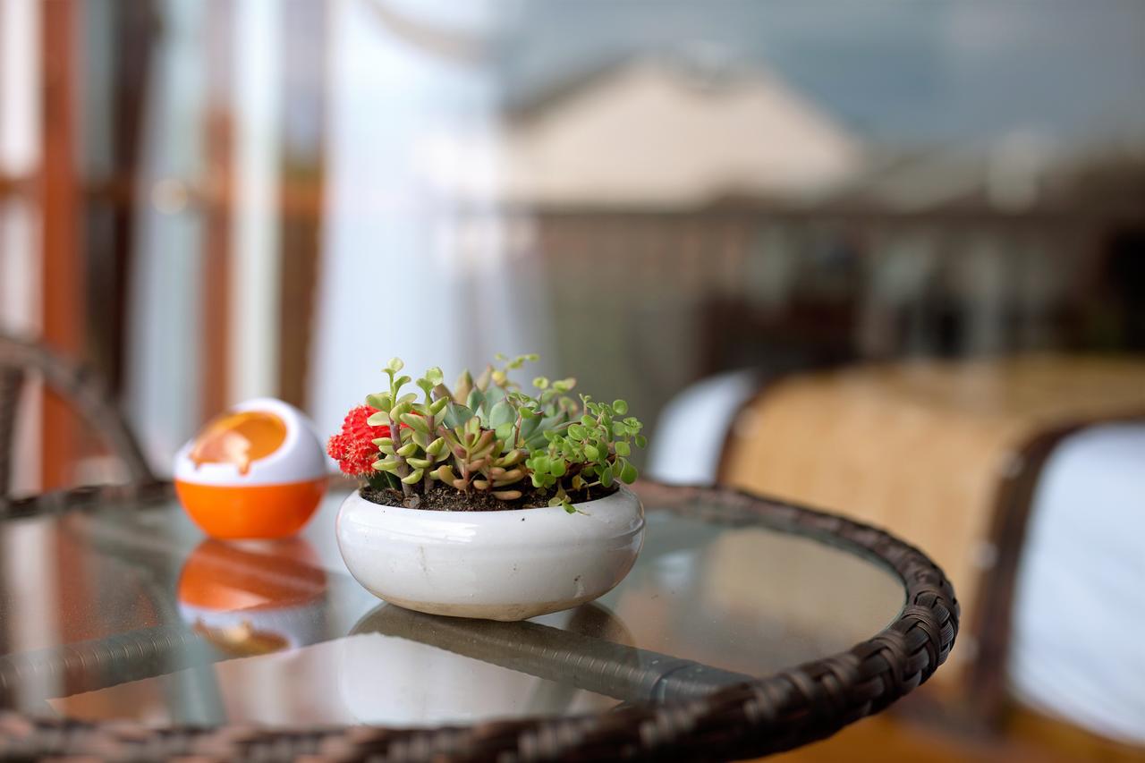 Hoi An VI Khoa Villa Eksteriør billede
